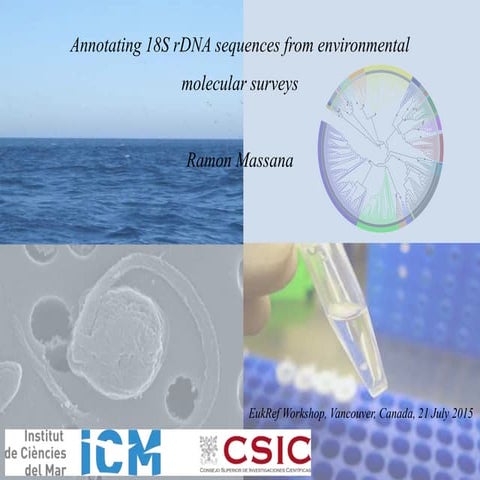 Annotating 18S rDNA sequences from environmental molecular surveys