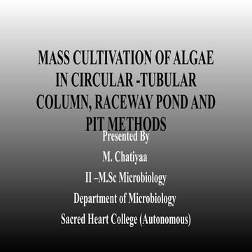 MASS CULTIVATION OF ALGAE IN CIRCULAR -TUBULAR COLUMN, RACEWAY POND AND ...