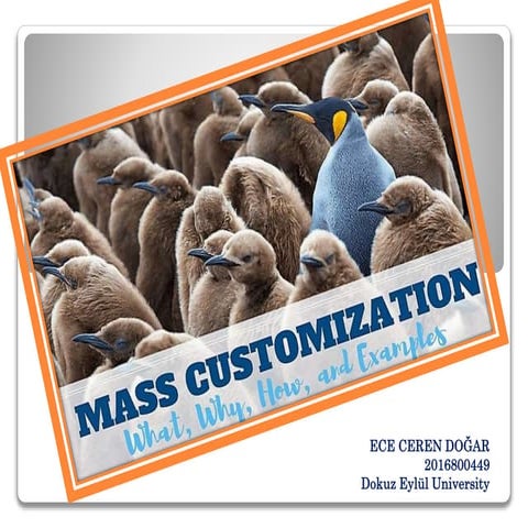 Mass customization introduction