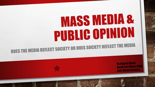 Mass media and society