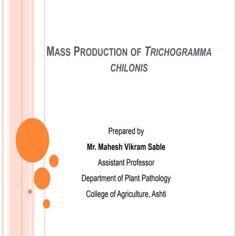 Mass producation of trichogrmma