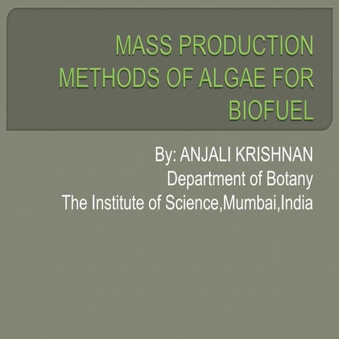 Mass production methods of algae for biofuel