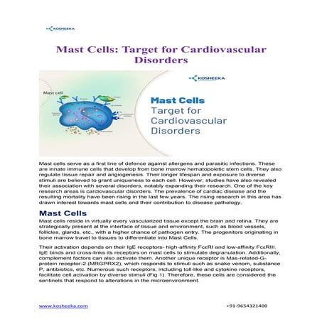Mast Cells: Target for Cardiovascular Disorders