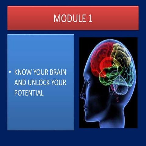  Mind Map Way to Creative Thinking & Decision Making