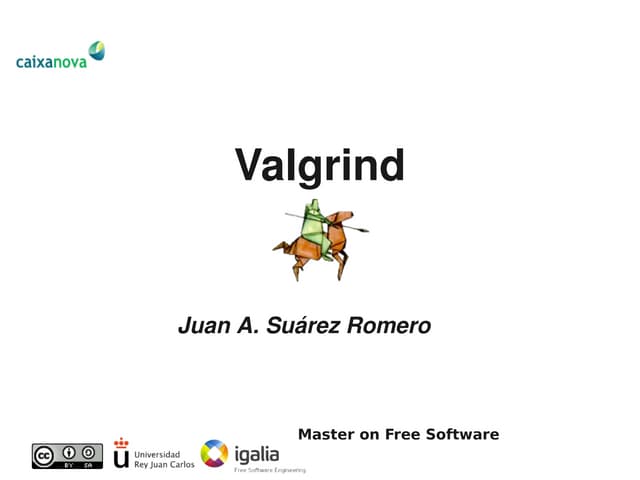 MSL2009. Valgrind