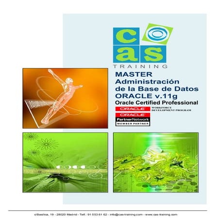 Master Oficial Oracle Administración V11g
