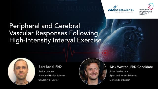 Peripheral and Cerebral Vascular Responses Following High-Intensity Interval Exercise
