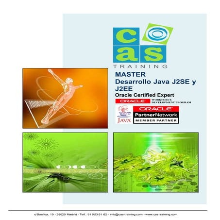 Master Oficicial Java J2SE - J2EE (Fabricante Oracle)