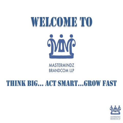 Mastermindz Brandcom LLP credentials