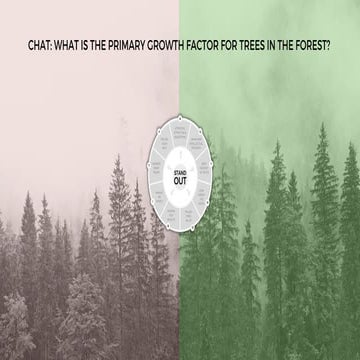 More leads than you can poke a stick at