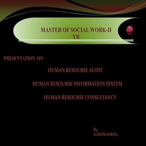 HUMAN RESOURCE AUDIT