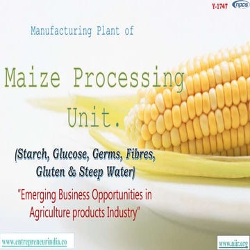 Manufacturing Plant of Maize Processing Unit (Starch, Glucose, Germs, Fibres,...
