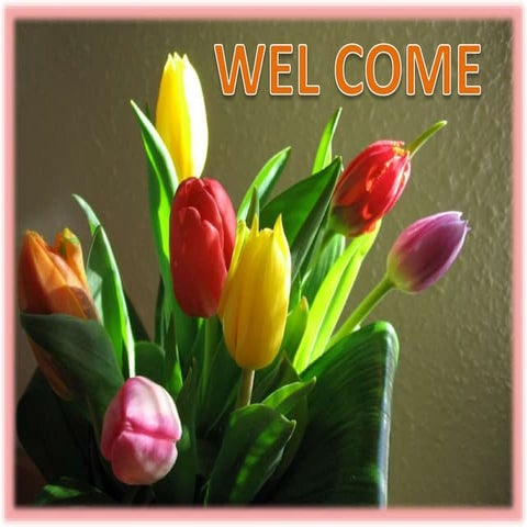 use of ammi model for stability analysis of crop.