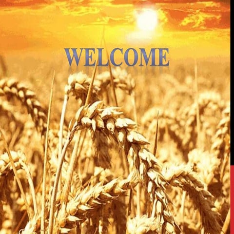 Nutritional and Medicinal benefits of millets