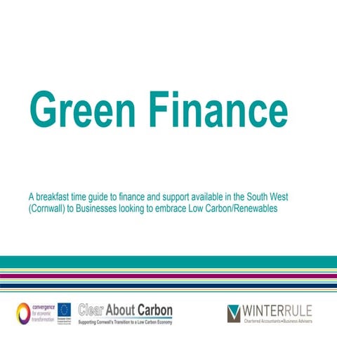 Green Finance for your Business - 24 March 2011
