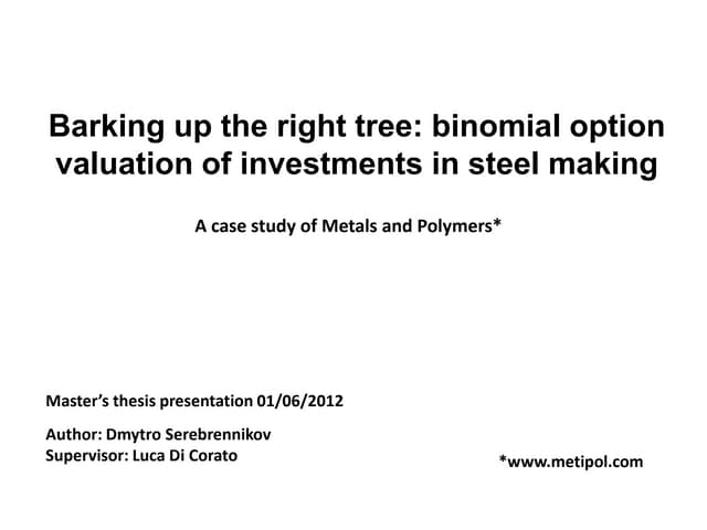 Project risk management master thesis