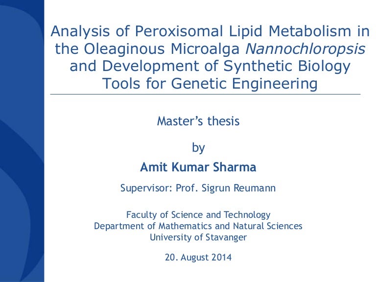 Master thesis genetics picture