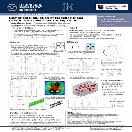 Master Thesis Poster: Numerical Simulation of Modelled Blood Cells in a ...