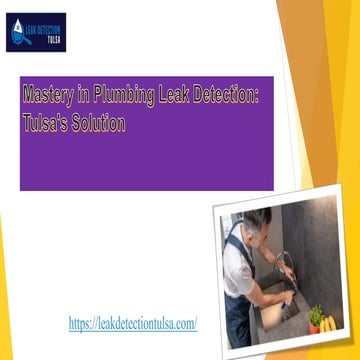 where are the best Mastery in Plumbing Leak Detection.pptx