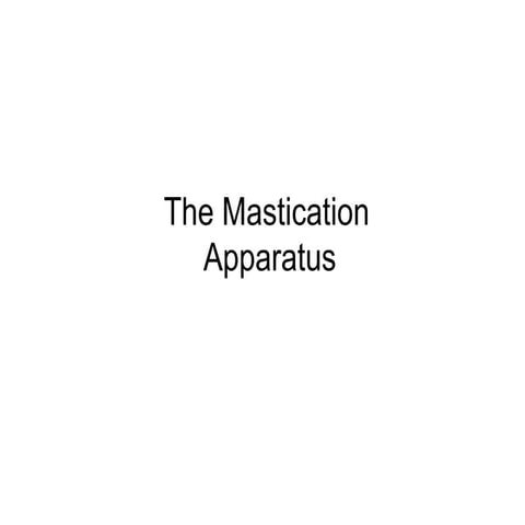 Masticating apparatus