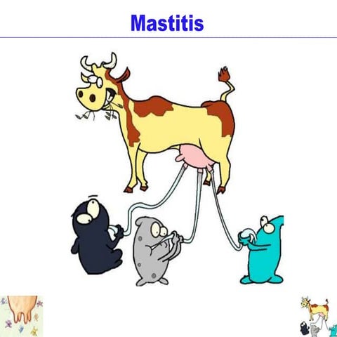 Mastitis 