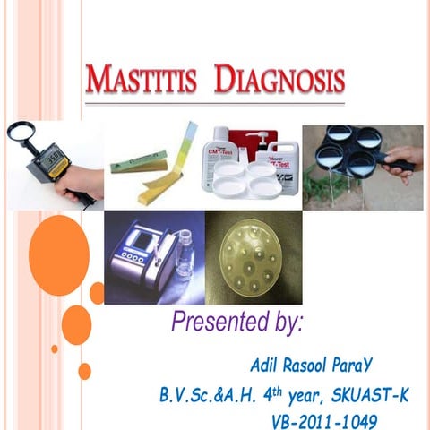 MASTITIS DIAGNOSIS by ADIL RASOOL PARAY