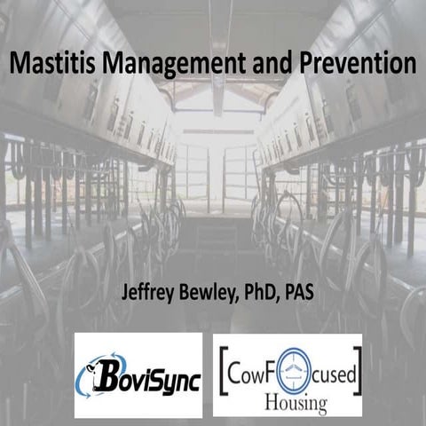 Mastitis Management and Prevention