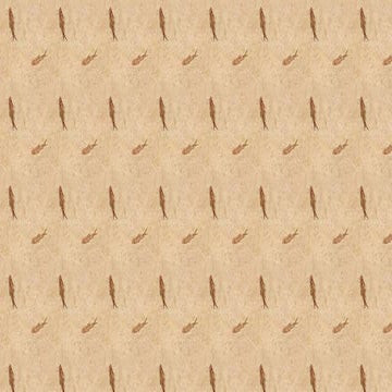 Mastoditis 170811051118