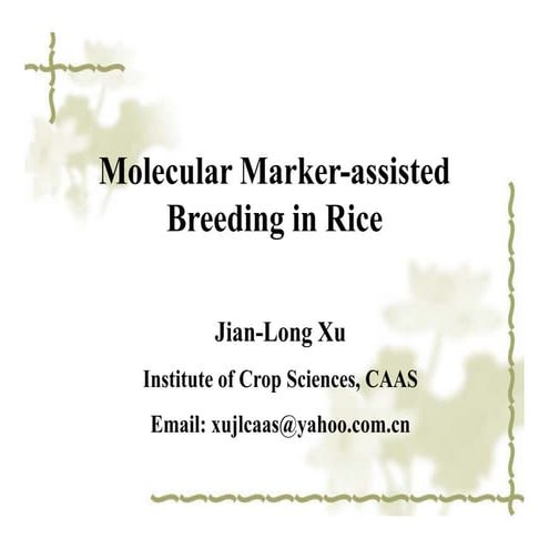 Molecular Marker-assisted Breeding in Rice