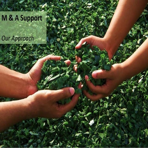 M & A Support