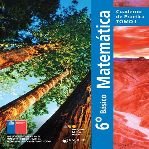 Mat 6º año. | PDF