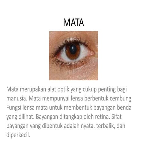 PPT penglihatan (mata).pptx ipa kelas sembilan | PPTX