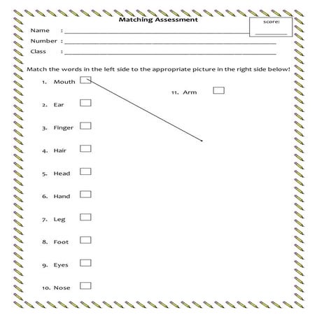 Matching assessment about part of body for grade four