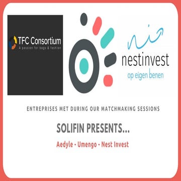 Solifin's activity report 2021 | PDF