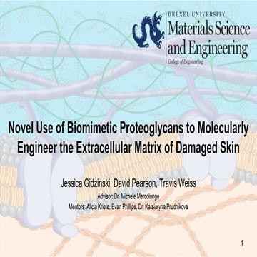 Novel Use of Biomimetic Proteoglycans to Molecularly Engineer the Extracellul...