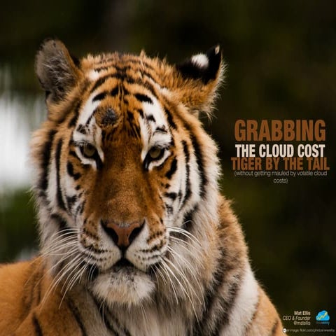 Grabbing The Cloud Cost Tiger By The Tail