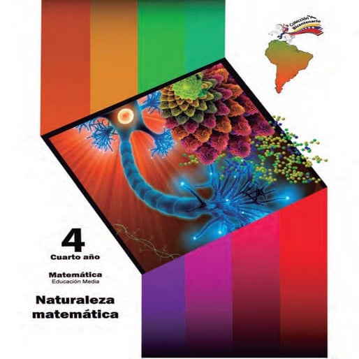 Matemática 4to año