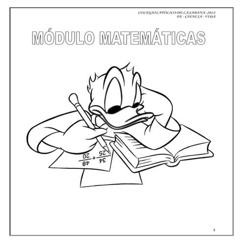 libro Matematicas transición
