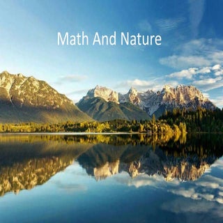 Matematika symetry in nature