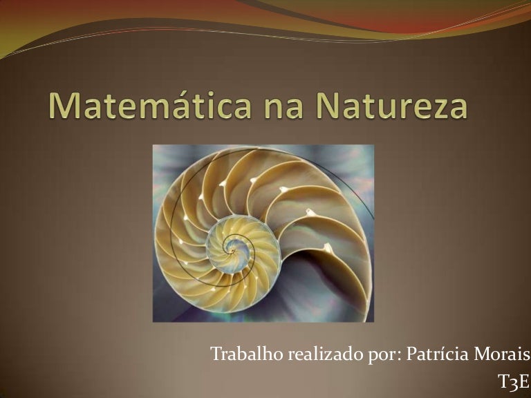 Matemática na natureza