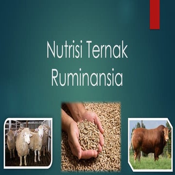 Pakan_Ruminansia.pptx