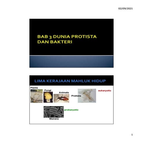 Materi3-Bakteri (1).pdf