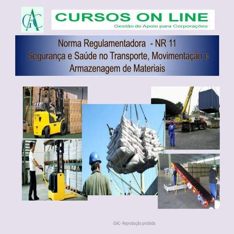 Segurança e Saúde no Transporte, Movimentação e Armazenagem de Materiais - NR 11