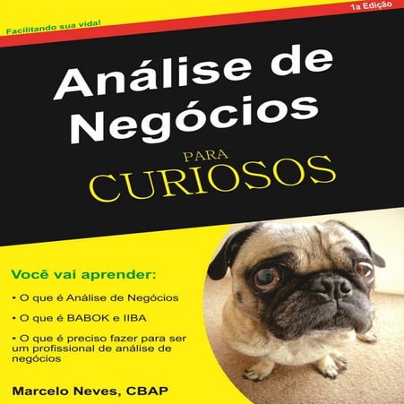 Análise de negócios para curiosos