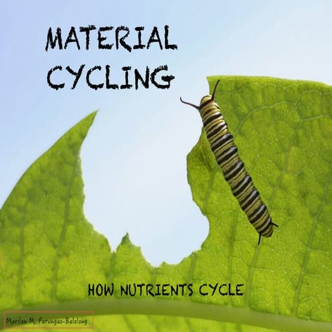 Material Cycling lecture