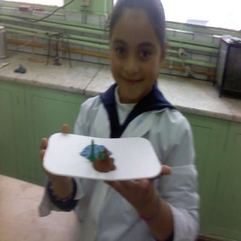 Algunas Experiencias Pedagogico-Didacticas (B.S.)