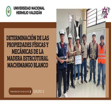 Determinación de las propiedades físicas del Machimango