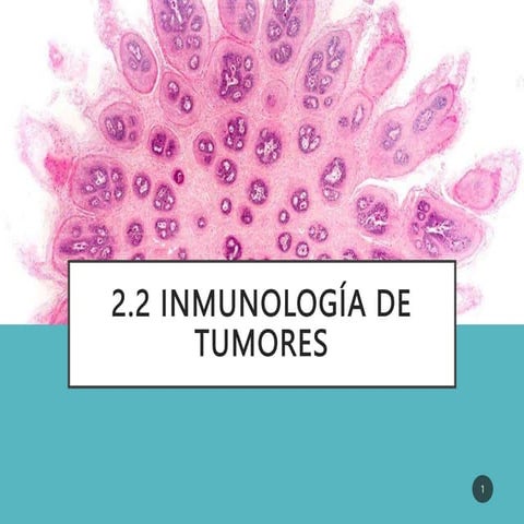 INMUNIDAD DE TUMORES Y CANCERES .pptx