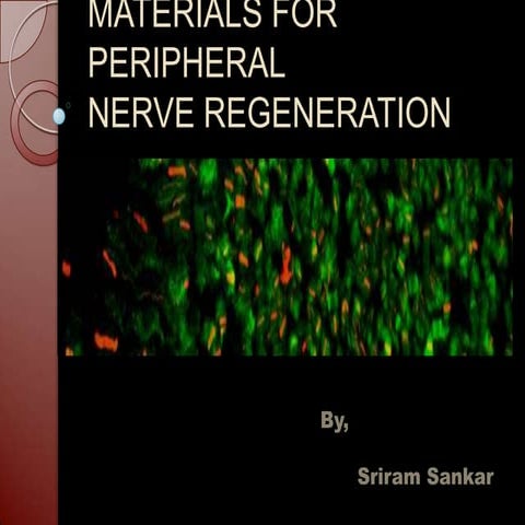 Materials For Pns Nerve Regenration