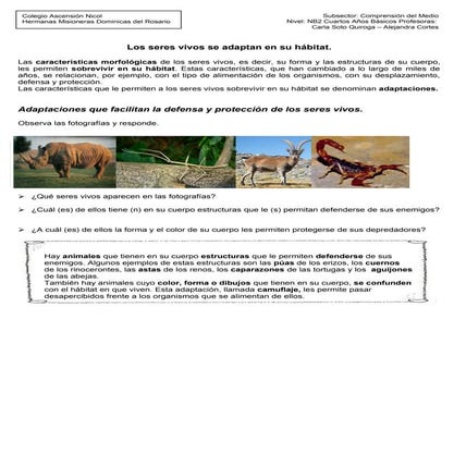 Guías Unidad 1 de Comprensión del Medio